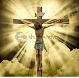 Meet your Posher, Alane